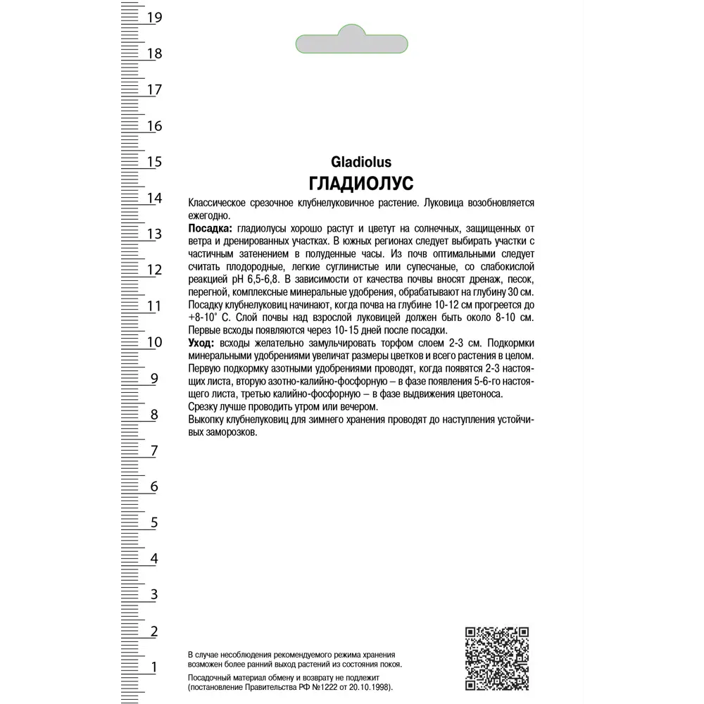Гладиолус крупноцветковой Блэксюрпрайз 10/12, 3 шт 81945432 STLM-2182684 ПОИСК  - Вид №1