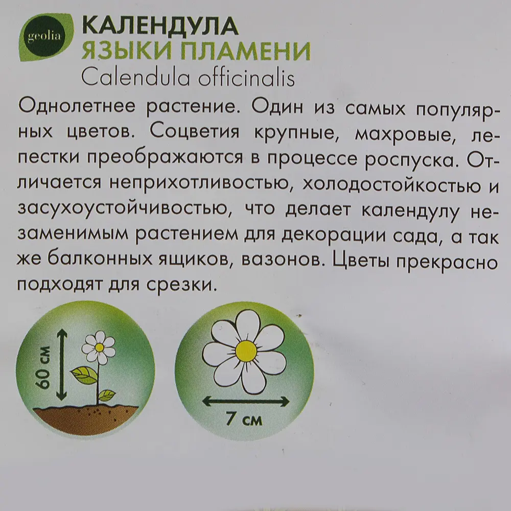 Календула GEOLIA Языки пламени - огненный шарм в вашем саду 17585551 STLM-0008388 - Вид №2