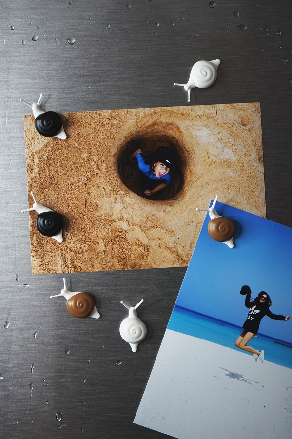 QL10289-MX Магниты snail, 6 шт. Qualy  - Вид №1