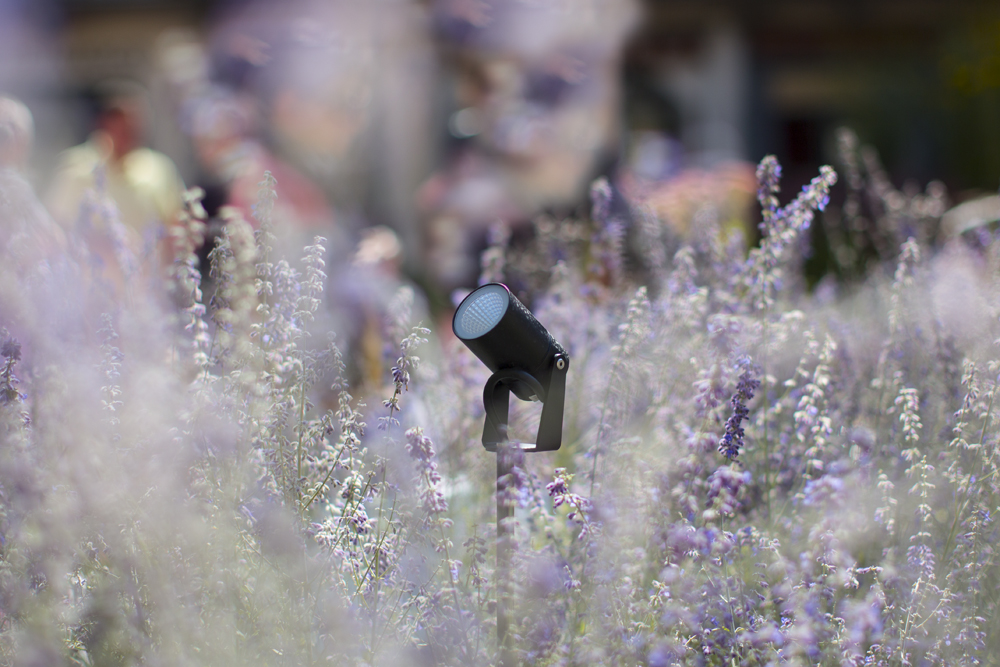 9405161 Проектор Platek NANO XL Proiettore  NANO XL Прожектор - 1 COB 4000K 20°  - Вид №7