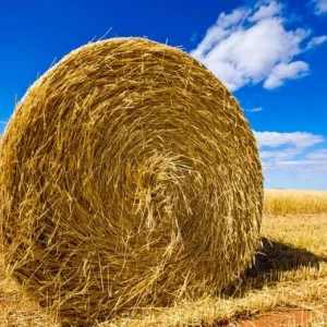 WP02374 Фотообои Verol Фотообои decoline 1х1 м