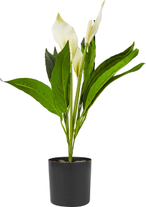 85852575 Искусственное растение Спатифилум h43 см полиэстер цвет оранжевый STLM-0065637 Santreyd