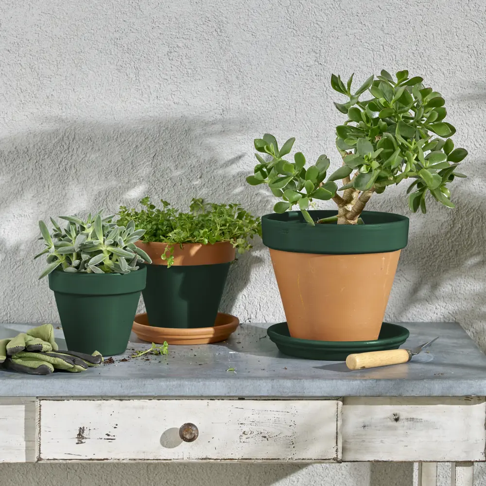 Аэрозольная эмаль Luxens Зеленый мох для интерьера и экстерьера 520 мл 83237415 STLM-0039768 - Вид №5