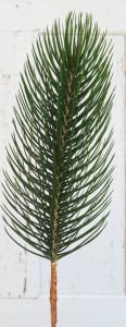 1884 883 a3 Искусственная веточка, 91 см, зеленая H-andreas