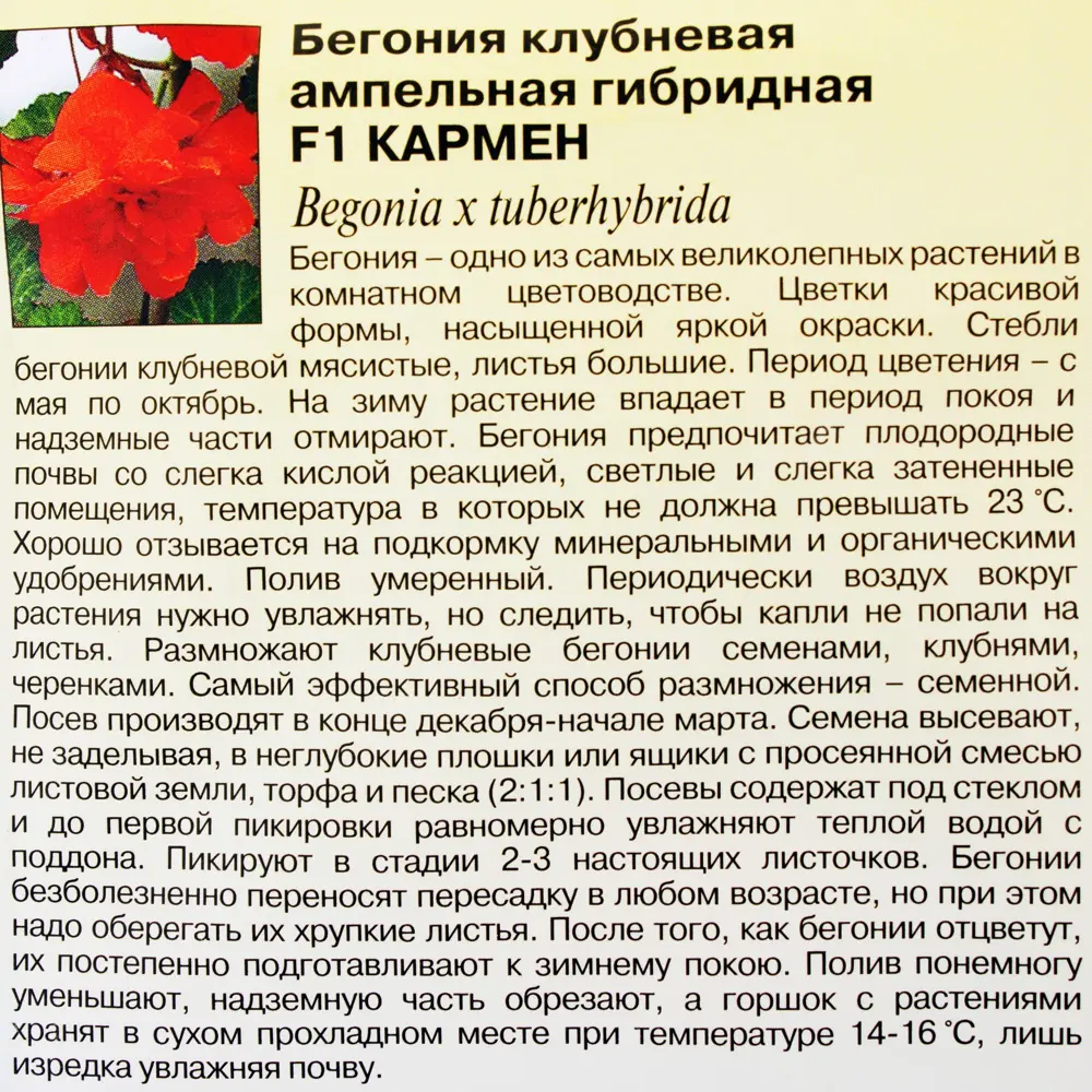 Бегония гранулированая ампельная «Кармен» F1, 5 шт. (пробирка) 81933423 STLM-2112041 ГАВРИШ  - Вид №2