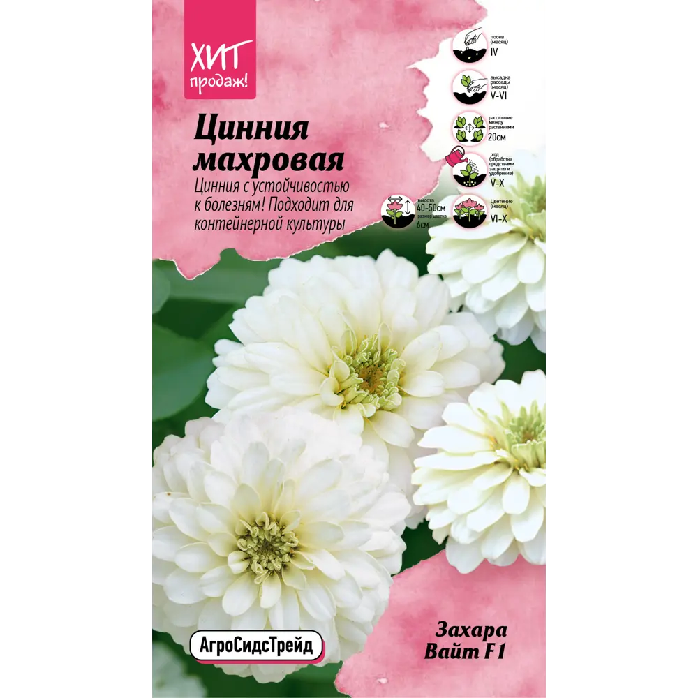 Семена цветов Аэлита цинния махровая Захара Вайт F1 5 шт. 89405140 STLM-2074376 Santreyd 