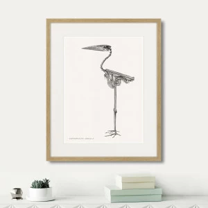 Картина в деревянной раме 52х42 см Leptophilus Argala, 1867г. КАРТИНЫ В КВАРТИРУ  264398 Белый;коричневый;разноцветный