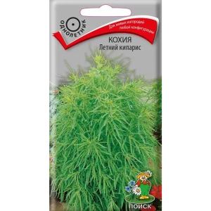 Семена цветов Поиск кохия Летний кипарис