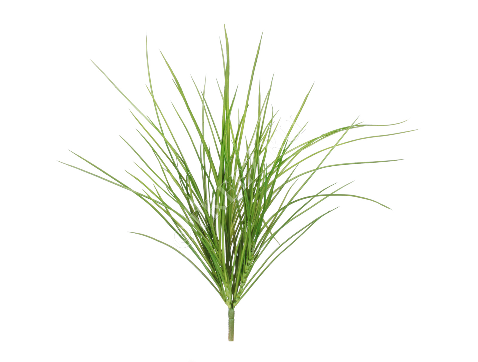 20.091403N Трава Оньон куст малый Цветочная коллекция 