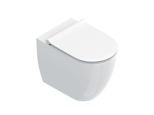 Керамический туалет без пола