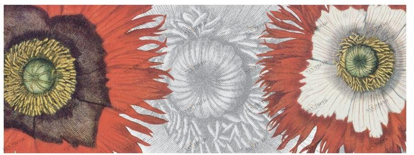 The NapKing Бегун в лино Papaver sun-id-1427822