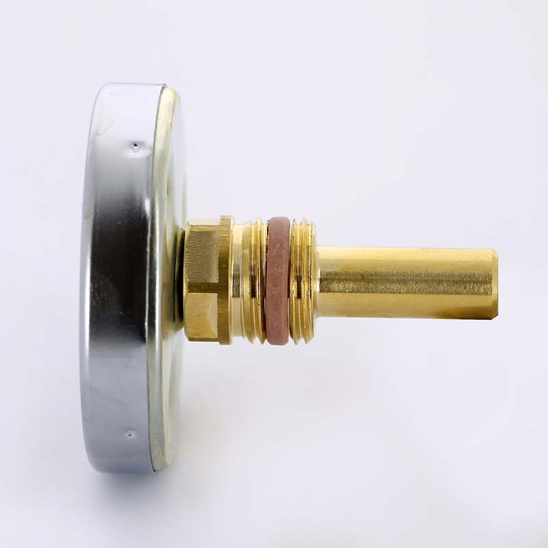 Термометр биметаллический самоуплотняющийся F+R801 SD 63 мм 120° WATTS с погружной гильзой 50 мм 10005802 - Вид №1