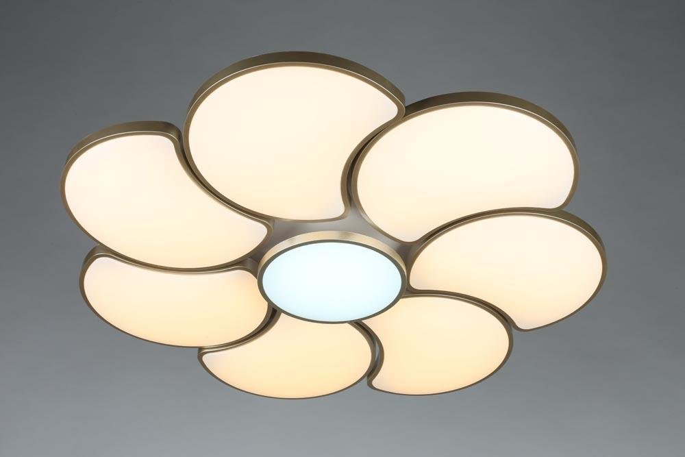 Потолочный светодиодный светильник Omnilux Arielli OML-18507-94 OMNILUX ARIELLI 202786 Белый;серебро  - Вид №3