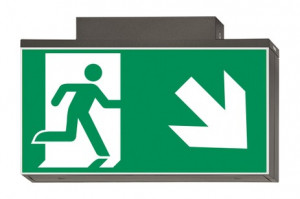 DST-787 Lisu ceiling-mounted Daisalux Светильники аварийные Металлический Серый