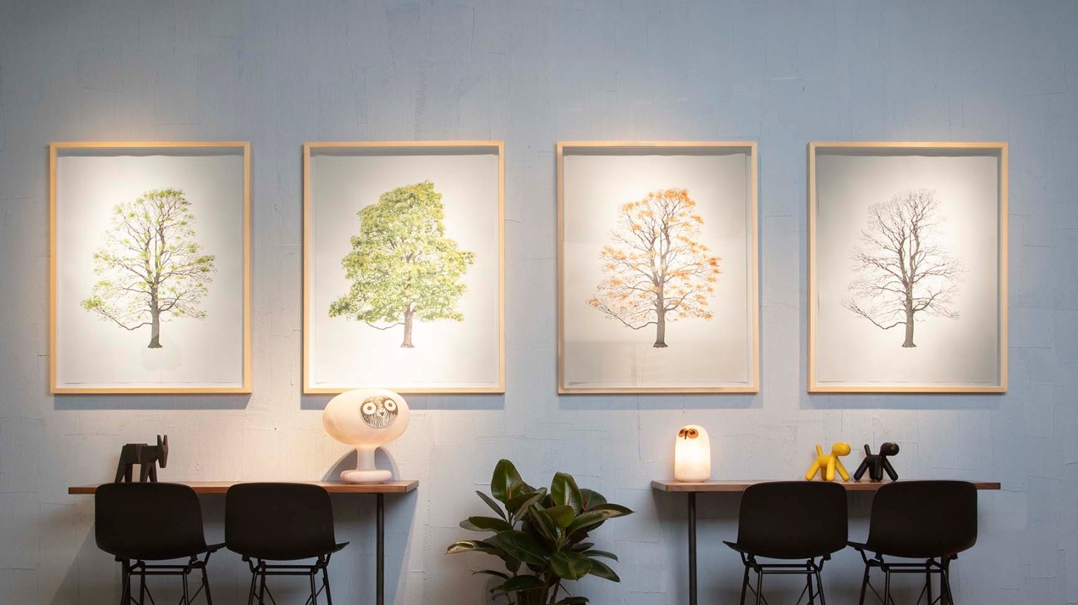 Дерево Magis sun-id-1329002 - Вид №9