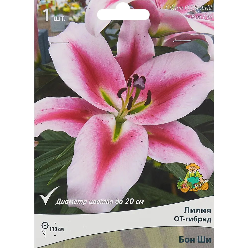ПОИСК Лилия Бон Ши - розовая красота для вашего сада 85186036 STLM-1563480