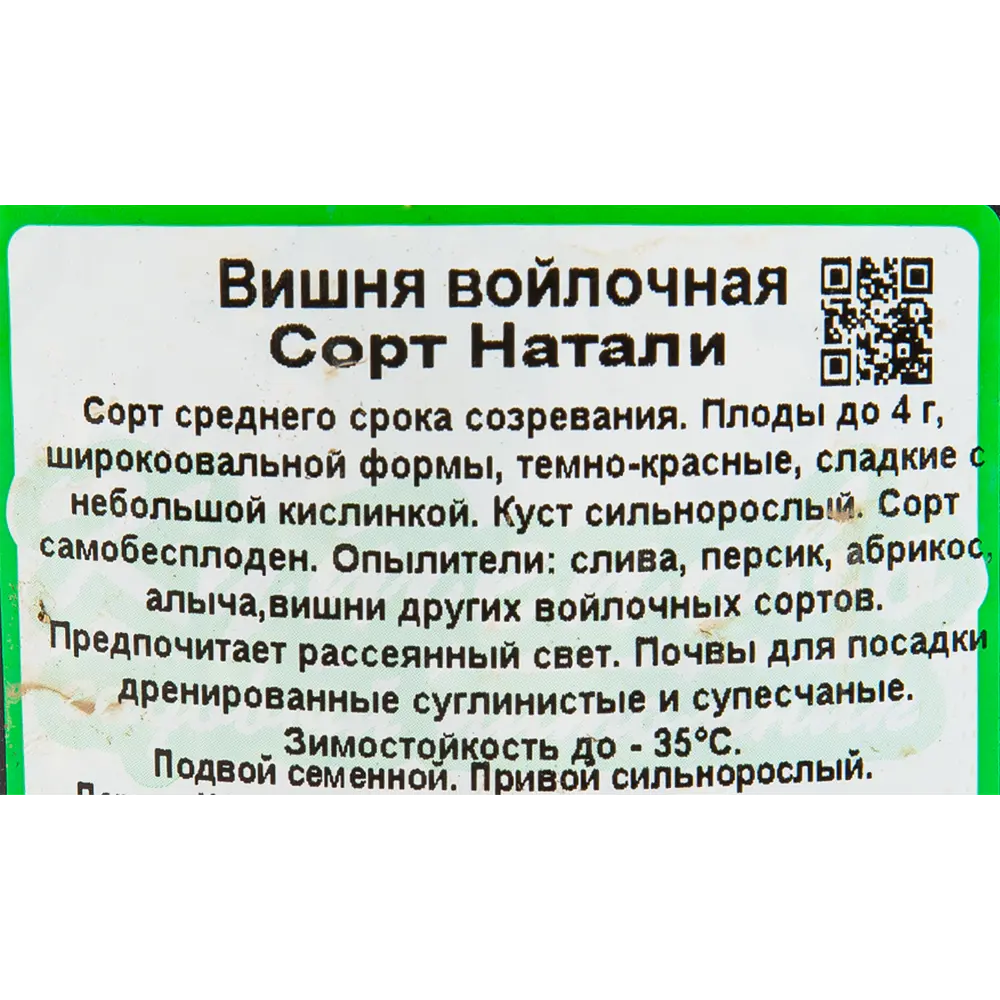 Вишня войлочная «Натали» C3 высота 140 см 82596953 STLM-2083997 Santreyd  - Вид №1