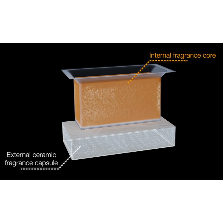 V-SOLIDP SEASALT VECTAIR SYSTEMS Профессиональный картридж ароматизатор воздуха V-Air Solid Plus Морская соль и бамбук Черный (упаковка)  - Вид №2