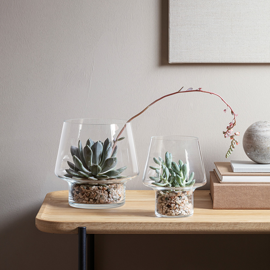 568187 Ваза для суккулентов, D15 см Eva Solo  - Вид №1