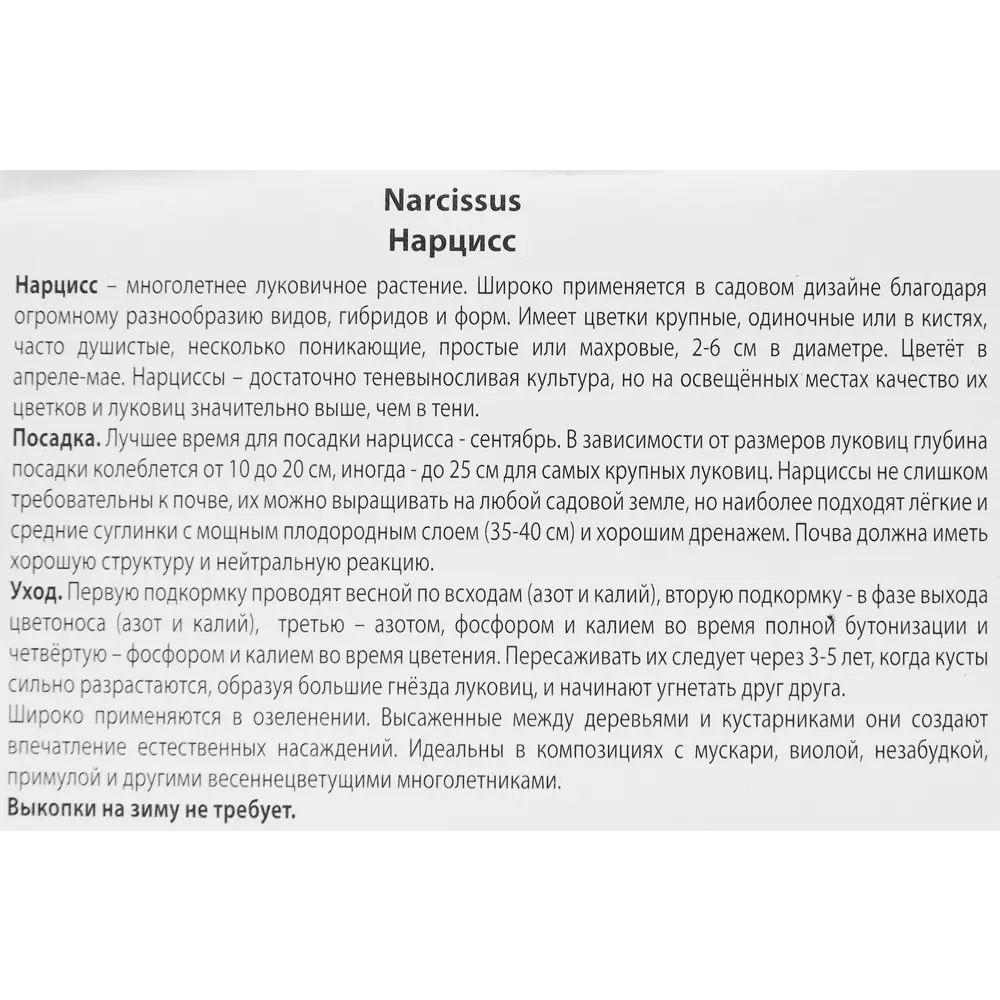 Нарцисс крупнокорончатый Айс фоллис луковица 10/12, 3 шт. 88294748 STLM-2021390 Santreyd  - Вид №2