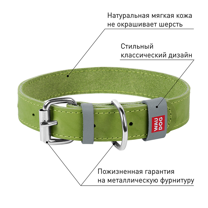 ПР0053723 Ошейник для собак Waudog Classic кожа, металлическая пряжка (шир.20мм, дл.30-39см) салатовый COLLAR  - Вид №2