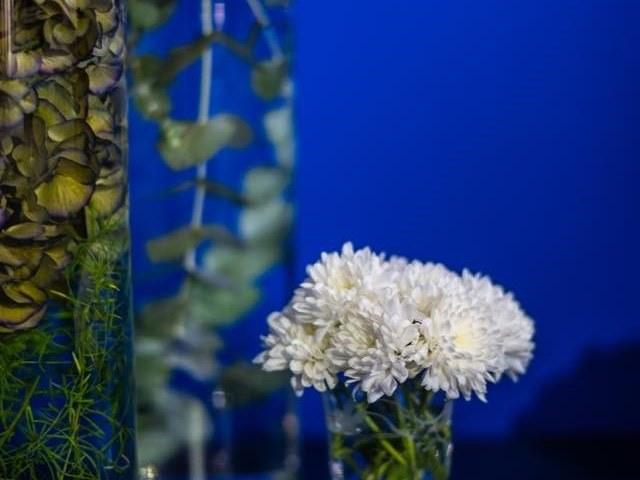 Ressource Декоративная роспись Yves klein sun-id-1357438 - Вид №5