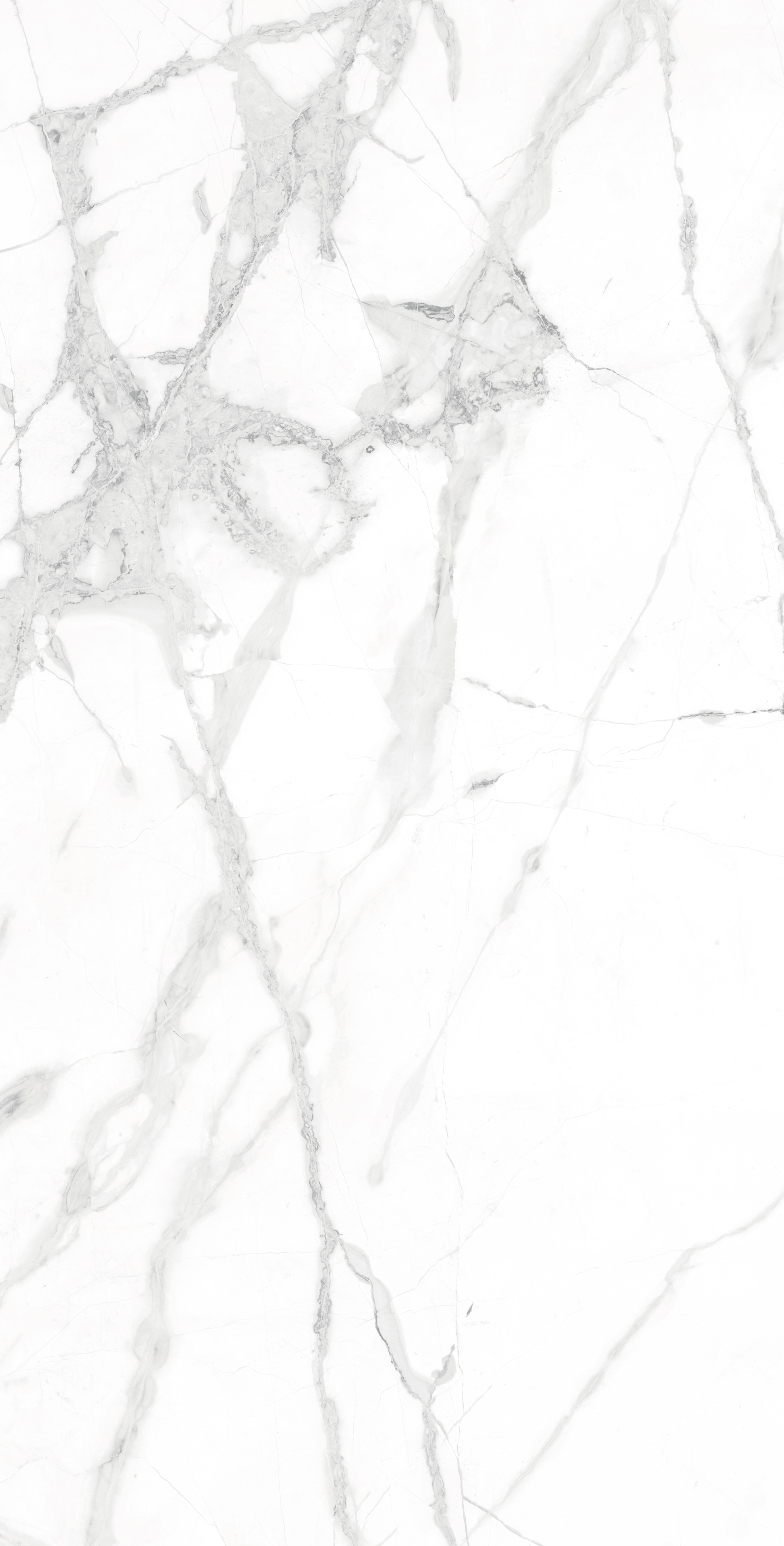Керамогранит DIVERSO WHITE 60х120 Arcadia Ceramica CR4023-A - Вид №2