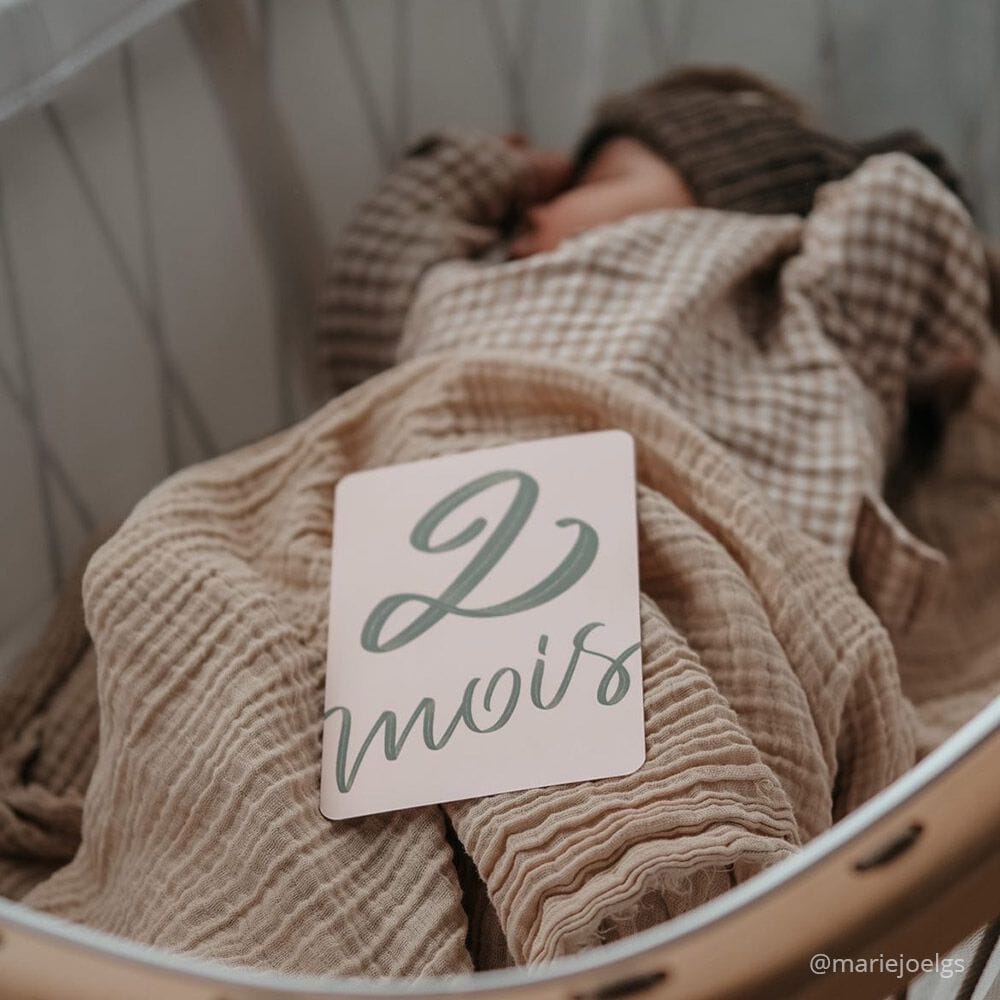 Набор из 24 карт Charlie Crane MY FIRST YEAR MILESTONE ARCH-00125799 - Вид №7