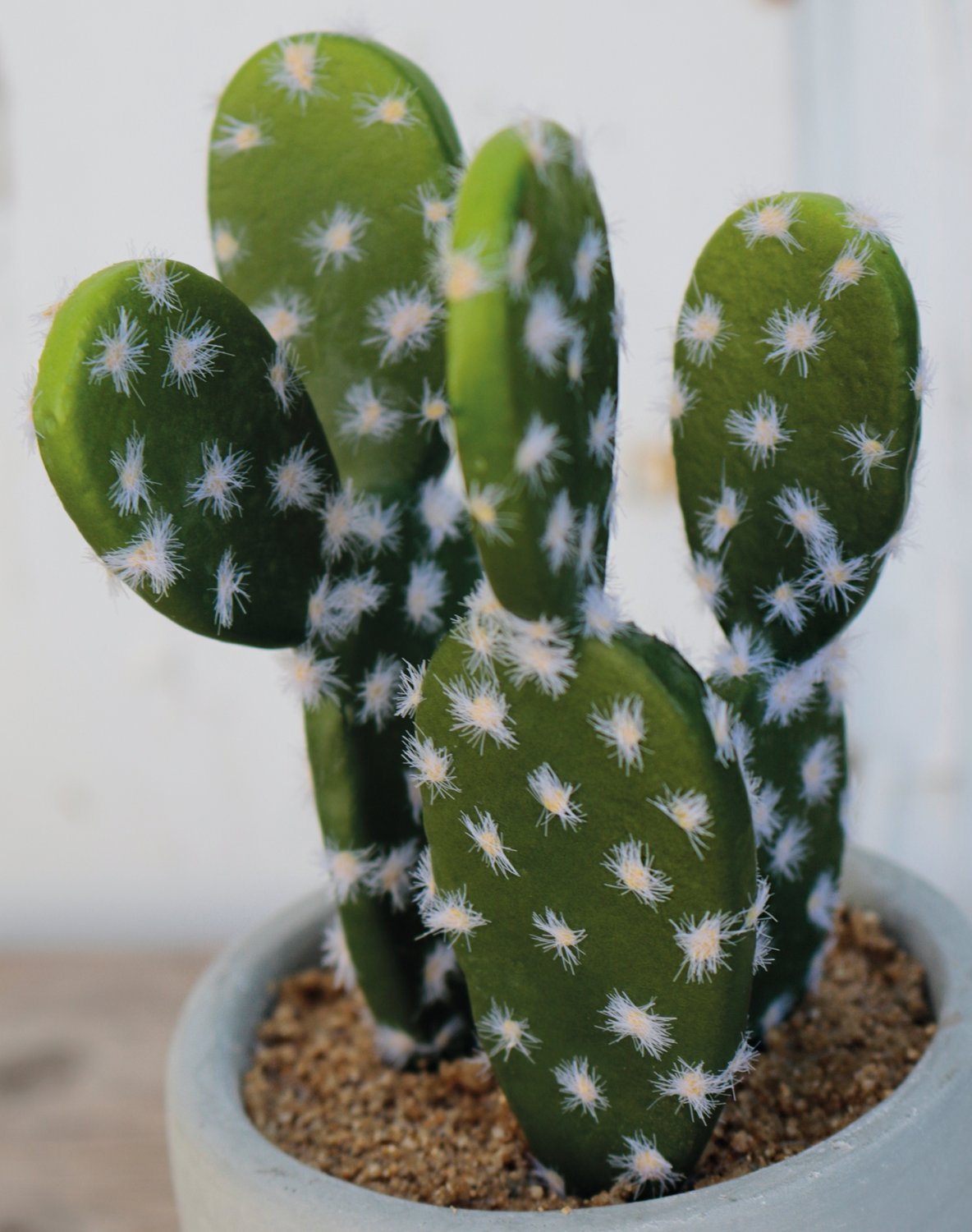 6068 883 a3 Пластиковые суккуленты-микс, в горшках, 3 шт., 10/14/17 см, зеленые H-andreas  - Вид №8