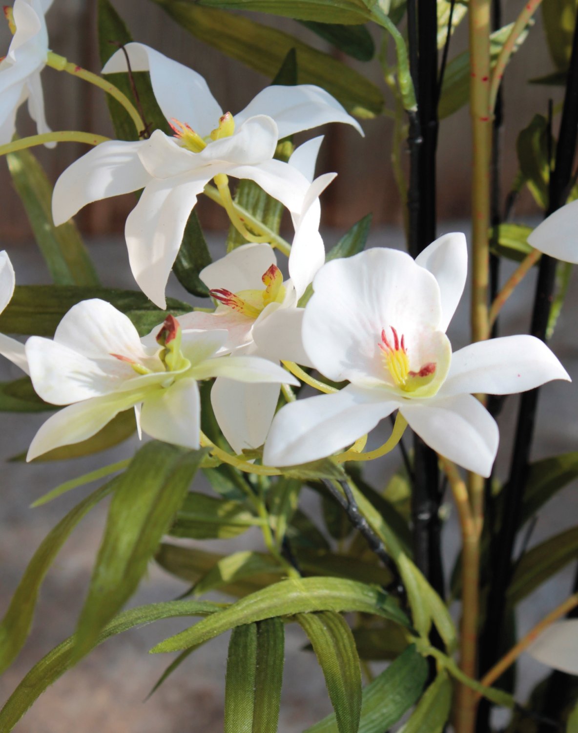 2782 778 a3 Искусственная орхидея дендробиум и бамбук в керамическом горшке, 65 см, real touch soft, бежево-белый H-andreas  - Вид №3