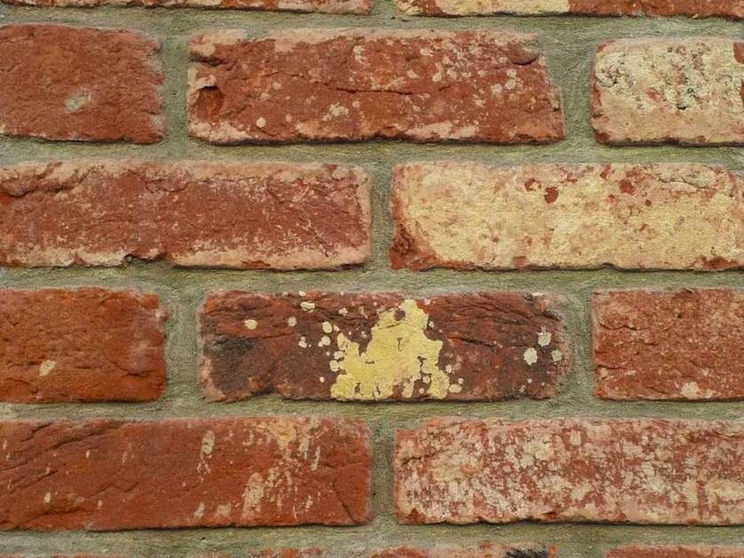 B&B Rivestimenti Naturali Кирпич глиняный для открытой кладки Mattoni / listelli Genesis 002 - Вид №3