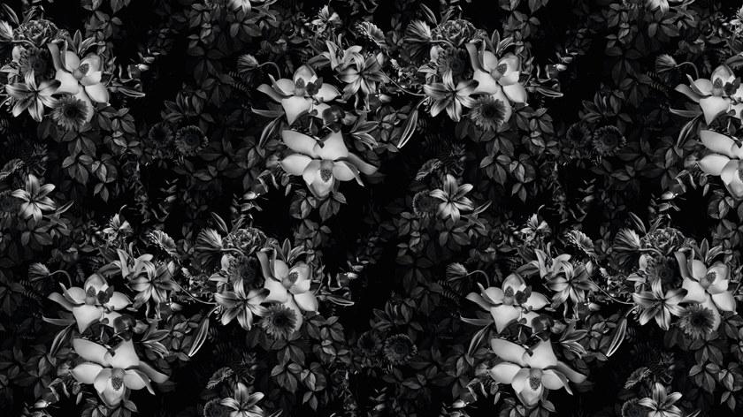 Baboon Цветочные обои для ванной Pattern sun-id-1406475 - Вид №1