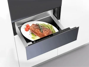 V-ZUG Встроенная жаровня  Ws60144