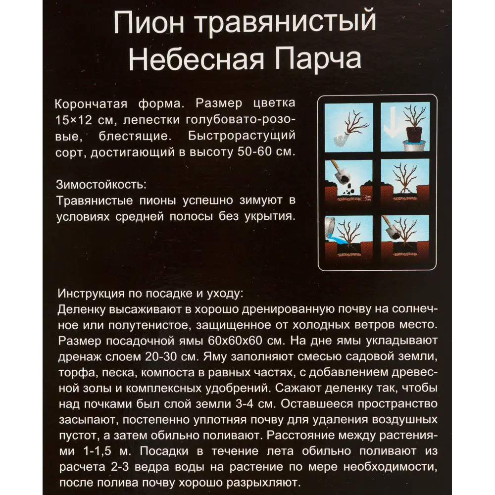 Пион травянистый Небесная парча, в тубе 13932448 STLM-2021183 Santreyd  - Вид №2