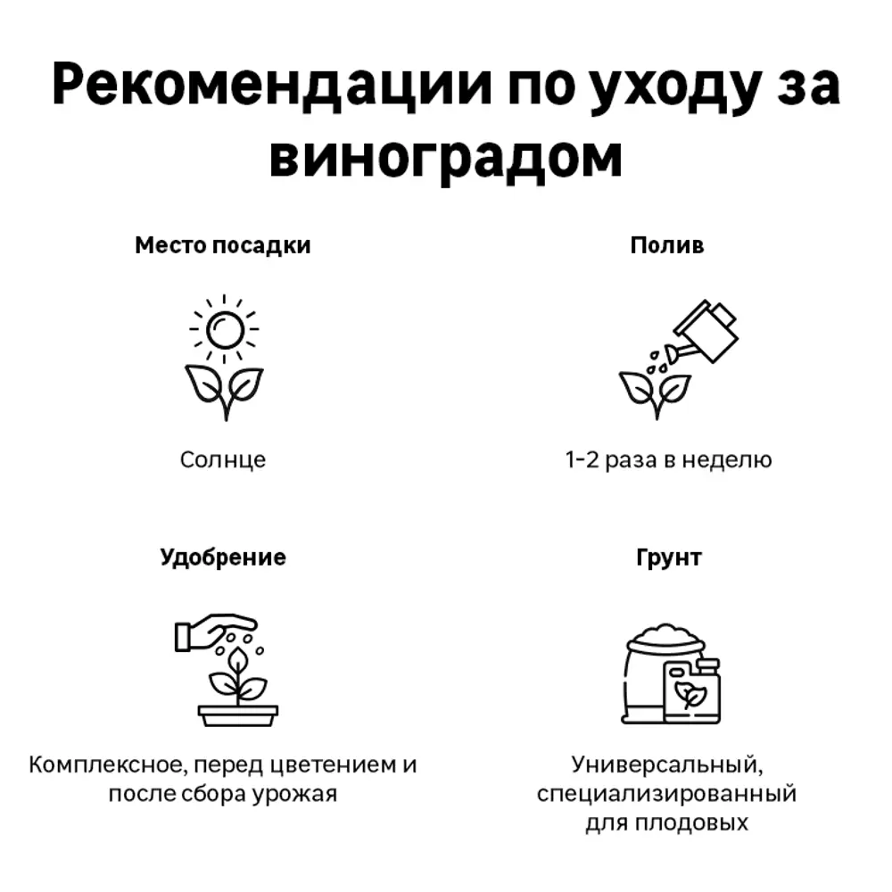 Виноград пятилисточковый 15x30 см 82585380 STLM-2199734 Santreyd  - Вид №3