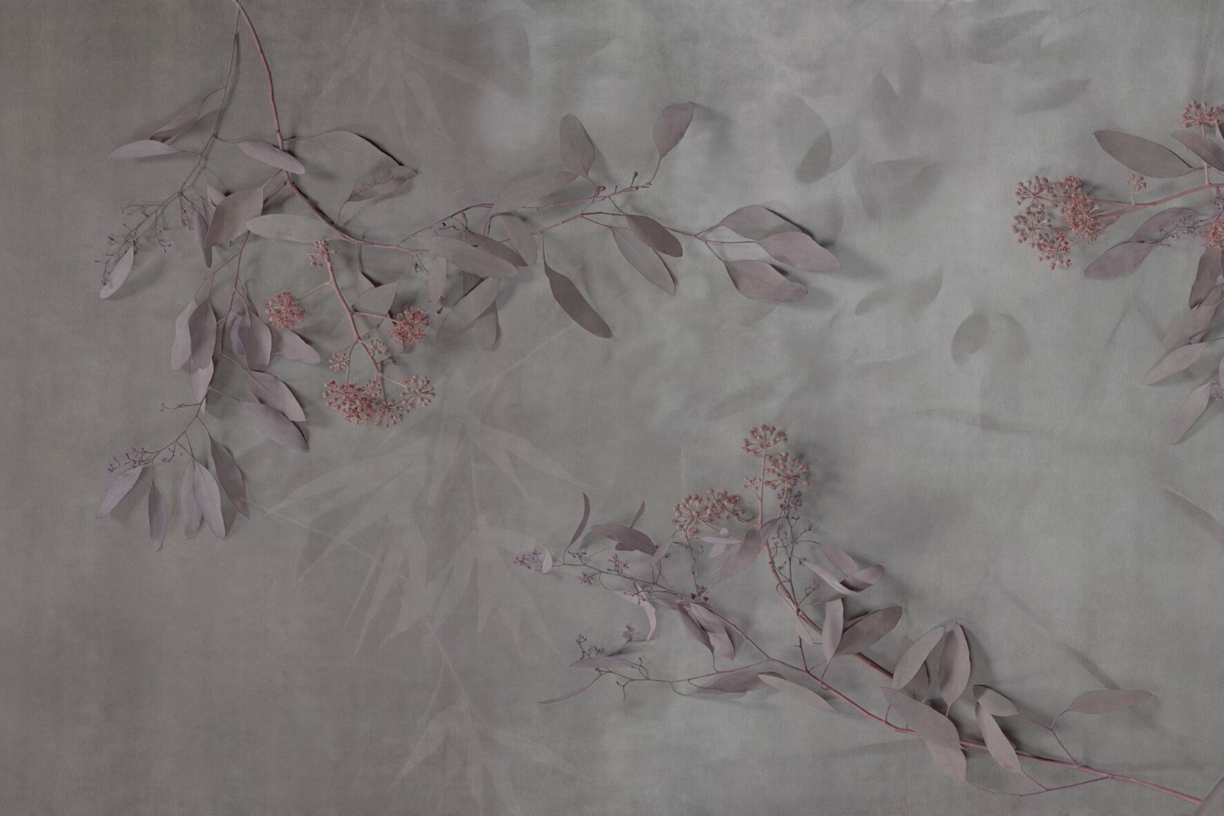 Обои с цветочными мотивами GLAMORA Creative Collection Chapter XIV ARCH-00074998 - Вид №3