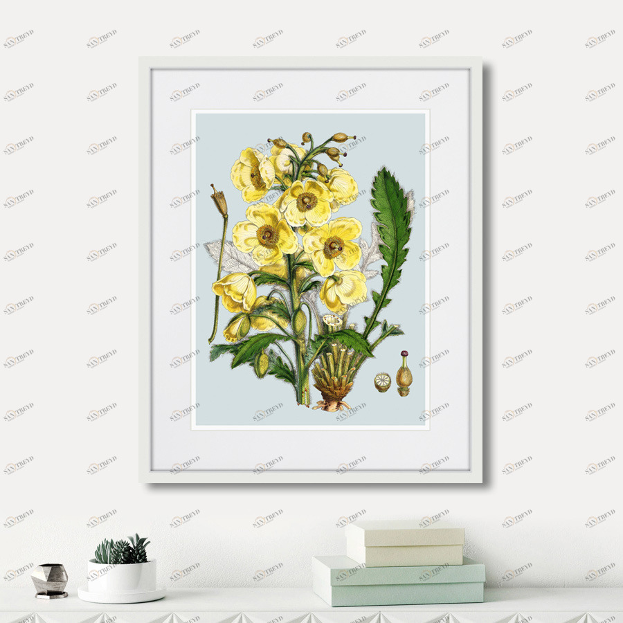 Картина в раме 52х42 см Himalaya Plants Yellow Flower, 1869г. КАРТИНЫ В КВАРТИРУ  264426 Желтый;зеленый;разноцветный 