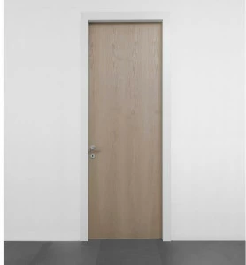 ALBED Распашная дверь из ясеня Level