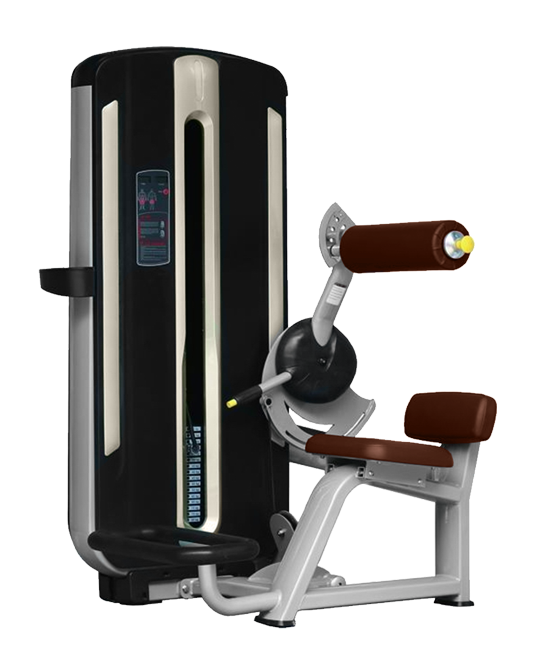 MNM-009 -009 разгибание спины Bronze Gym MNM 