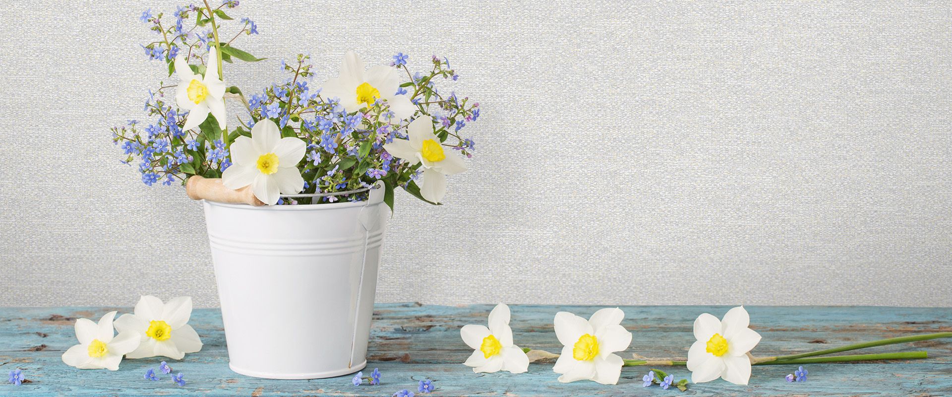 Victoria Stenova 88204 Фон NEZABUDKA 88204  - Вид №1