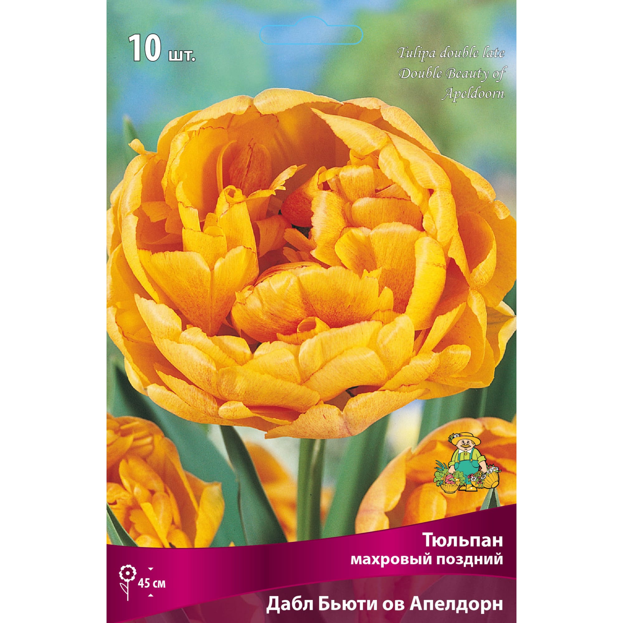 82662957 Тюльпан махровый поздний «Дабл Бьюти ов Апелдорн» размер луковицы 11/12, 10 шт Santreyd 