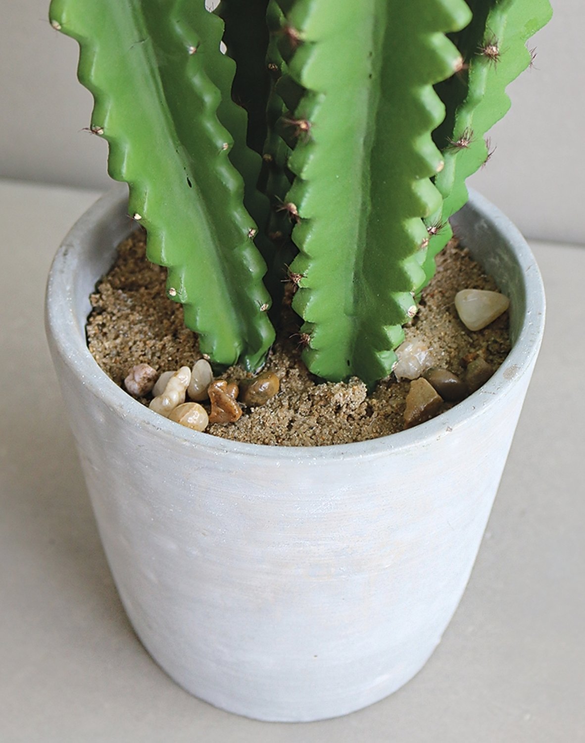 6062 883 a3 Молочай искусственный тригона, горшечный, 71 см, зеленый H-andreas  - Вид №1