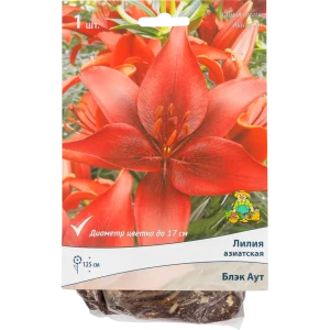 Santreyd Лилия Блэк Аут - насыщенно-красные азиатские гибриды для сада 82118708
