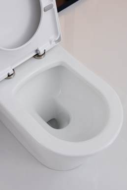 CT2046 Напольный унитаз SSWW CT  - Вид №1