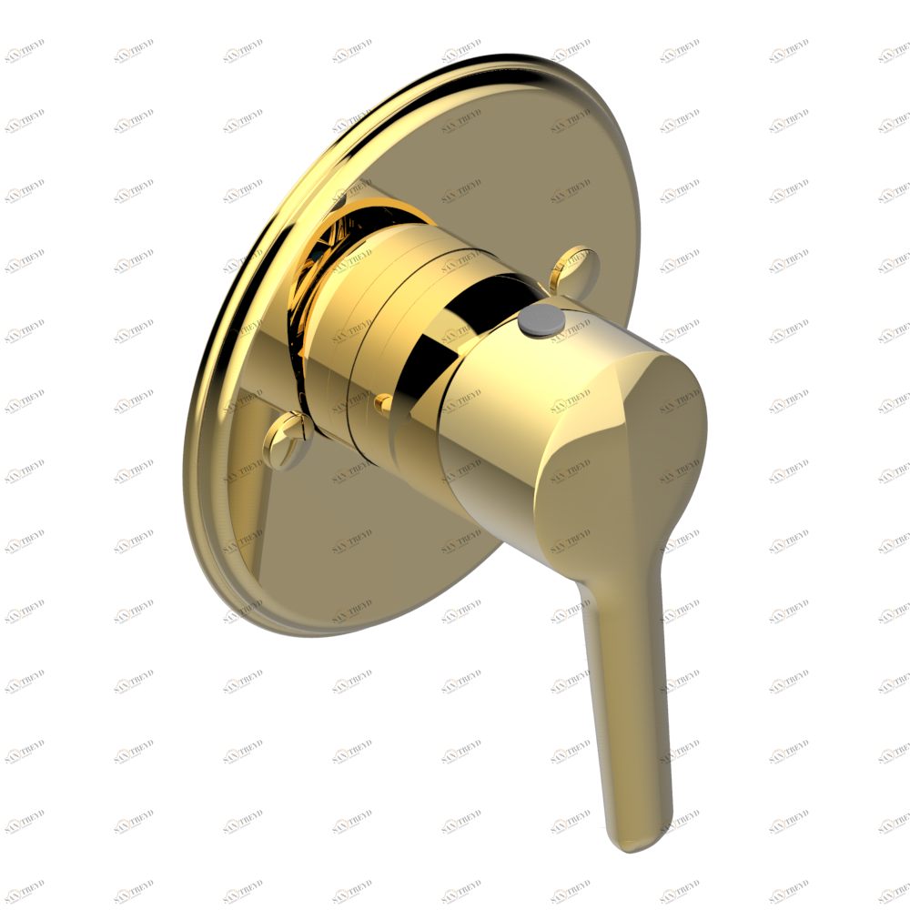 G9H-6540B Внешняя часть смесителя для душа однорычажного встраиваемого в стену 06540 Thg-paris System с говлитом с рукоятками Золото G9H 6540B CAT.F