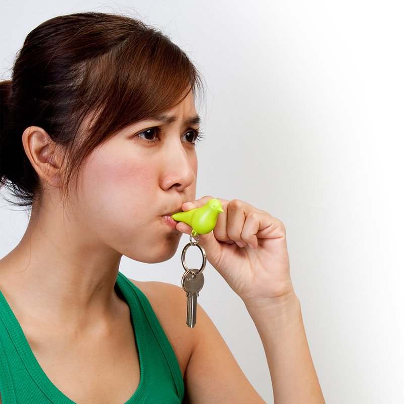 Держатель+брелок для ключей двойной sparrow белый-зеленый QUALY  253168 Зеленый  - Вид №2