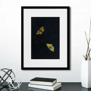 Картина в деревянной раме 42х32 см Zwei schmetterlinge, 1655г. КАРТИНЫ В КВАРТИРУ  264542 Белый;черный;разноцветный