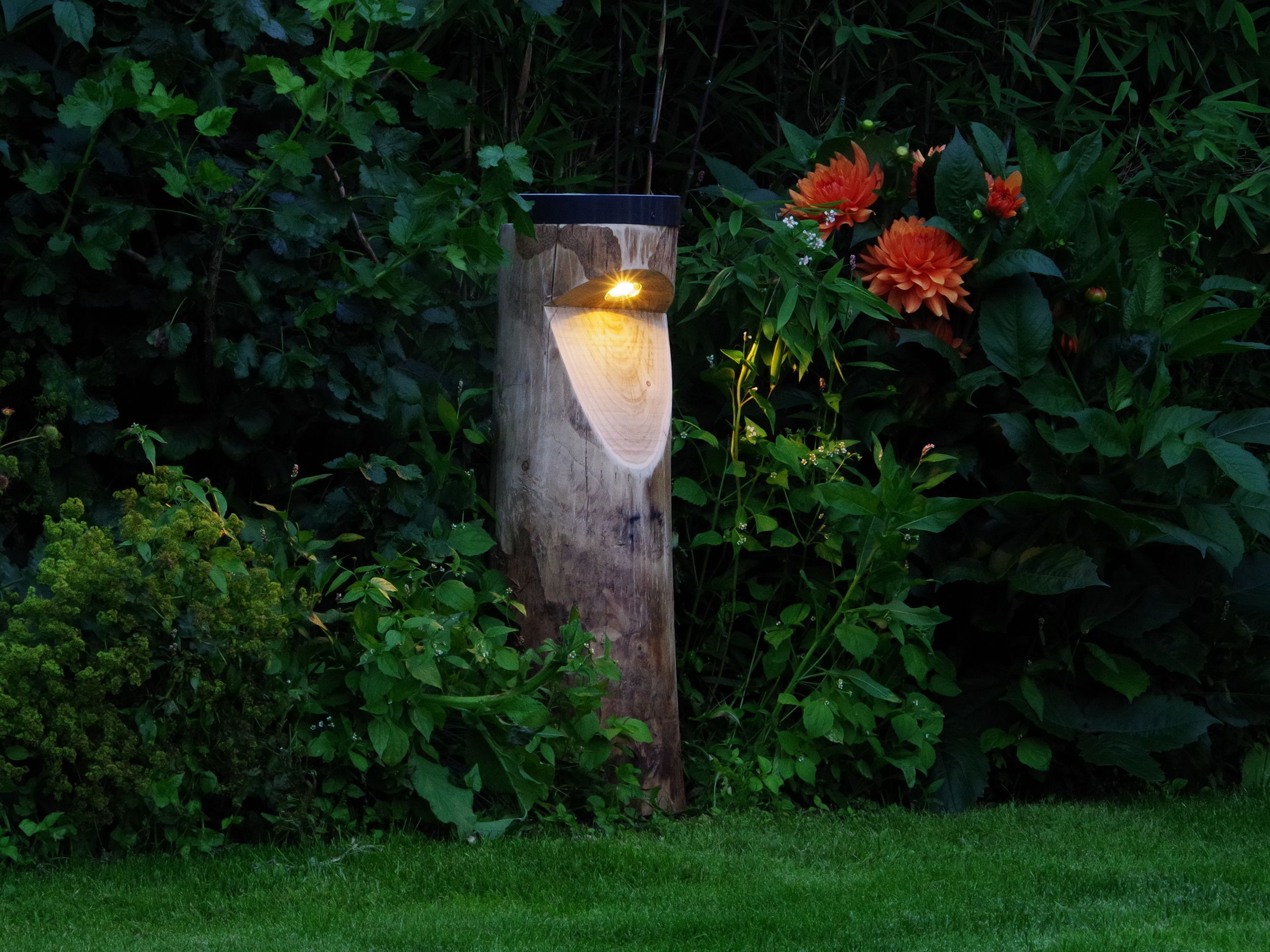 Светло-каштановый столб на солнечной энергии Timberlab BOSCO SOLAR ARCH-00141907 - Вид №3