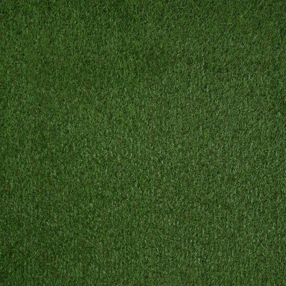 Искусственный газон 20 мм 1x5 м рулон цвет зеленый Santreyd STLM-2031752