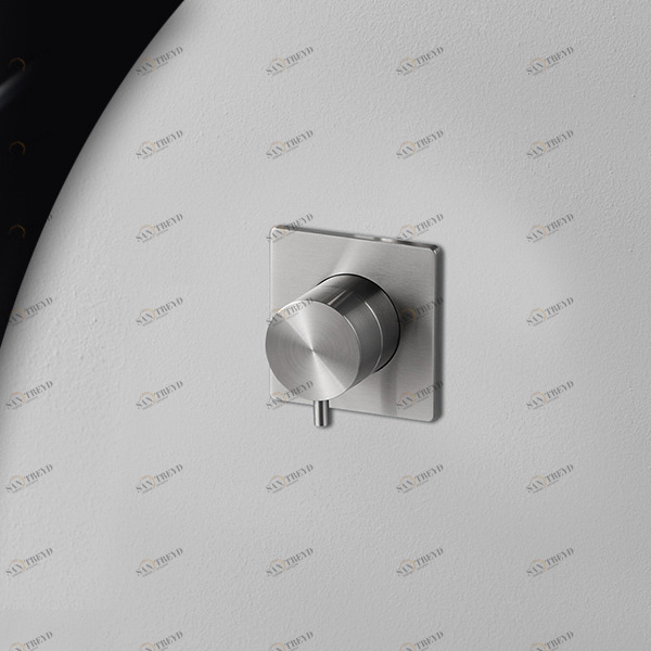 Смеситель для душа сталь матовая Aico Radomonte AIC8S